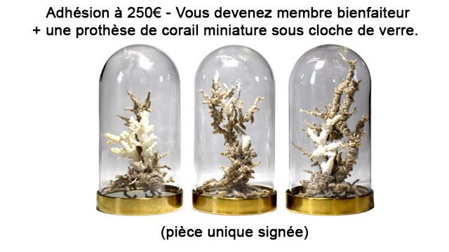 adhésion 50 € = membre bienfaiteur + 1 prothèse corail / ficelle sous cloche de verre 